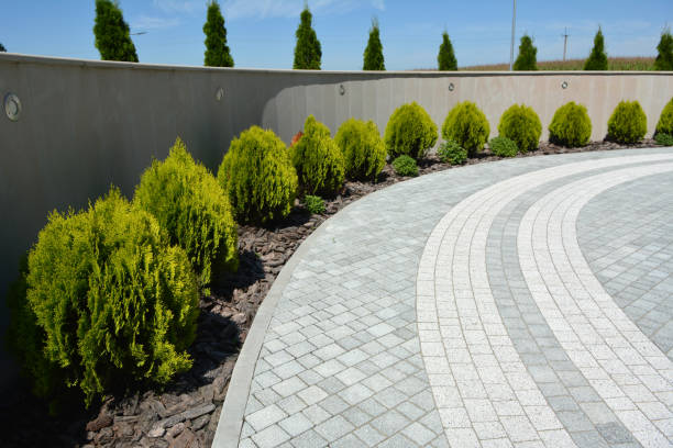Best Driveway Repair Near Me  in Morganton, NC